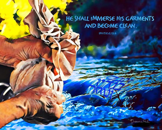 27_Tazria_Not_Matted_or_Framed (1)