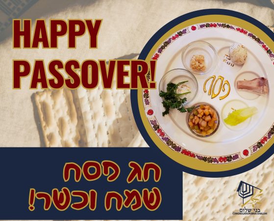 Passover Graphic 2025 (2500 x 2009 px) - for blog